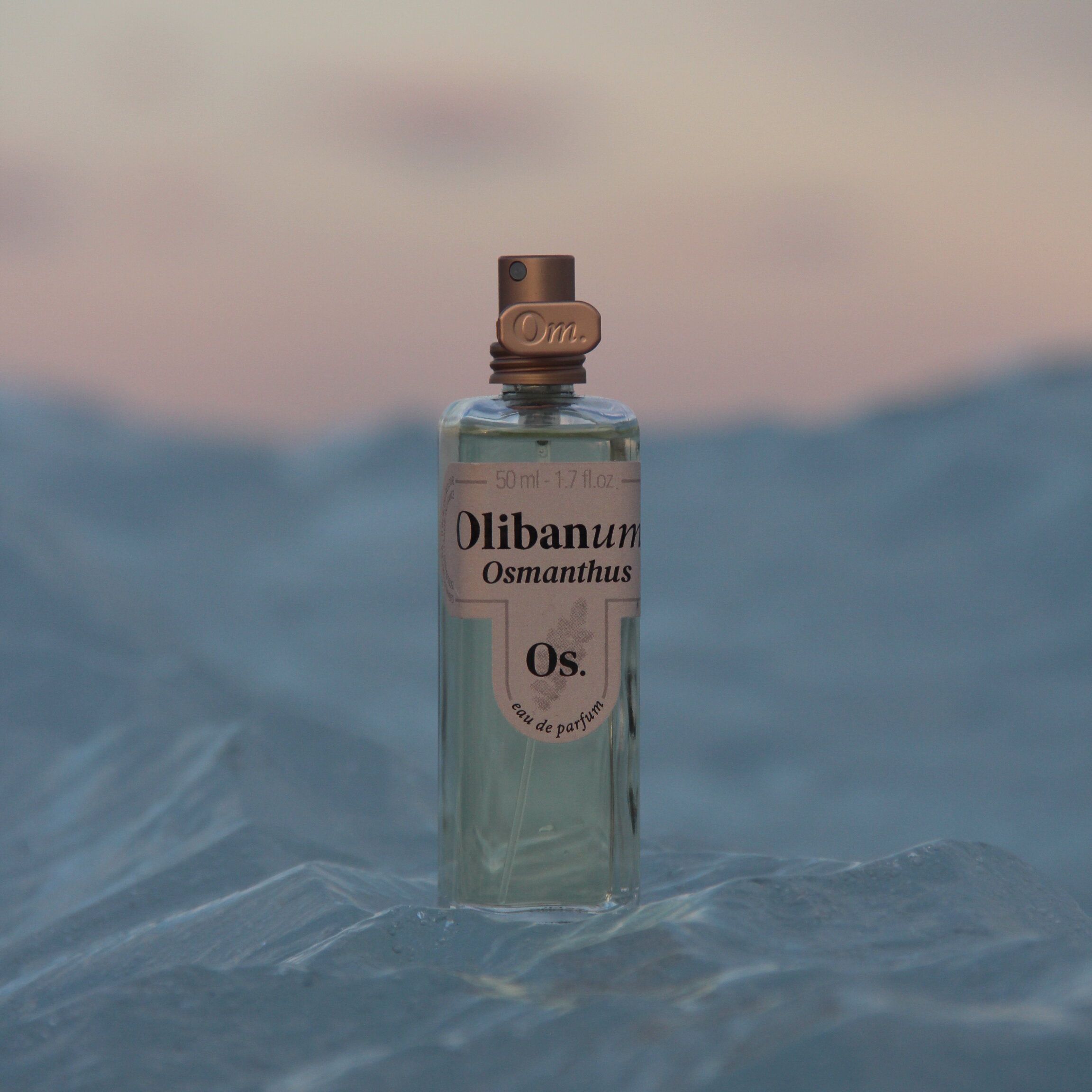 桂花 Osmanthus - Olibanum