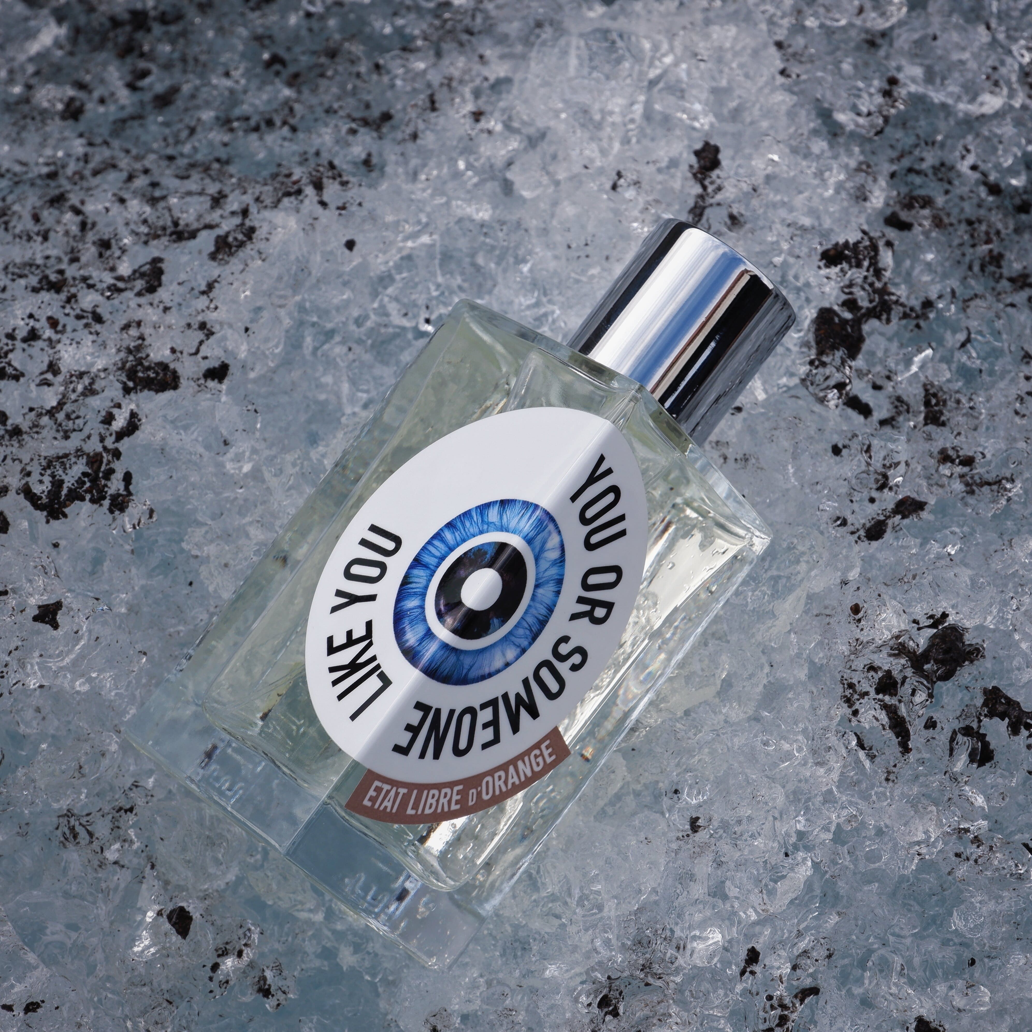 你或像你这样的人 You or Someone Like You - 解放橘郡 Etat Libre d'Orange